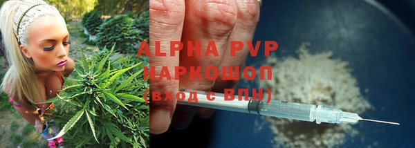 spice Аркадак