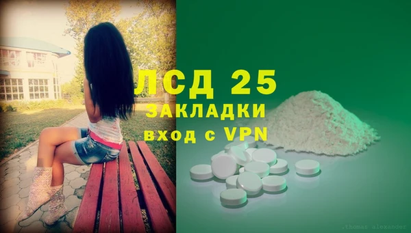 spice Аркадак