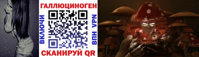 Галлюциногенные грибы Psilocybe  где купить   Острогожск 